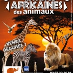 2016-07-20, Nuit africaine des animaux