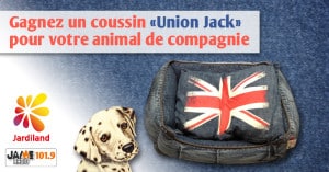 bloc_jeu_jardiland_coussin_union_jack