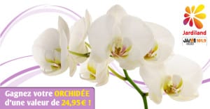 bloc_jeu_jardiland_orchidees_2