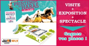 bloc_jeu_Haras_visite