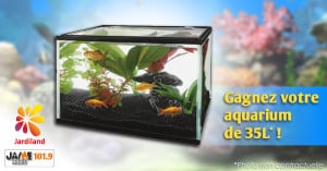 bloc_jeu_jardiland_aquarium35