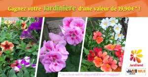 bloc_jeu_jardiland_jardinieres