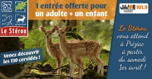 bloc_jeu_sterou_2017