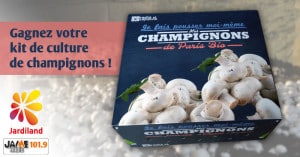 bloc_jeu_jardiland_serre_champignons