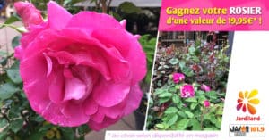 bloc_jeu_jardiland_rosiers