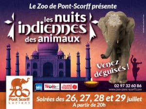 Affiche Nuits Indiennes horizontale