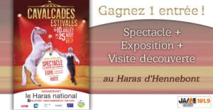 bloc_jeu_haras_journee_2017