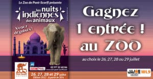 bloc_jeu_les_nuits_indiennes_des_animaux