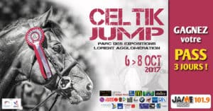 bloc_jeu_celtik_jump_2017