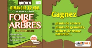 jeu_fleurir_queven_2017