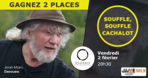 jeu_oceanis_souffle_cachalot