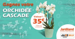 jeu_jardiland_orchidees_2018