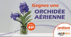 jeu_jardiland_orchidee_aerienne_2018