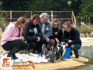journee_soigneur_zoo_pont-scorff