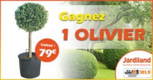 jeu_jardiland_olivier_2018