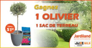 jeu_jardiland_olivier_terreau