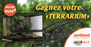 jardiland_terrarium_2018