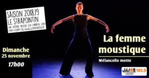 jeu_strapontin_femme_moustique