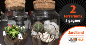 jeu_jardiland_terrarium_2019