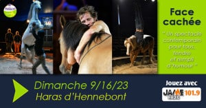 bloc_jeu_haras_face_cachee