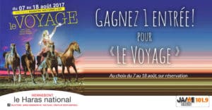 bloc_jeu_haras_nocturne_2017