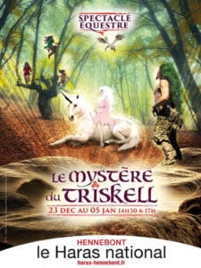 haras_spectacle_mystere_triskell_2017