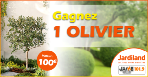 jeu_jardiland_olivier_2019