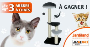 jardiland_arbres_a_chats_2019