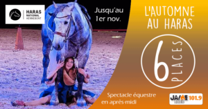 jeu_automne_2019_haras