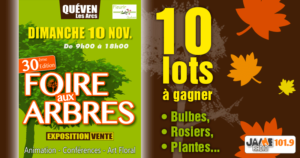 jeu_foire_aux_arbres_queven_2019