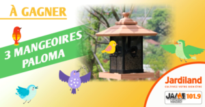 jardiland_mangeoires_paloma_oiseaux_2019