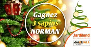 jeu_jardiland_sapin_noel_2019