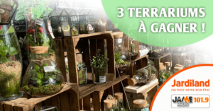 jeu_jardiland_terrarium_2020