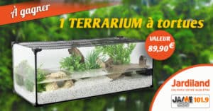 jardiland_terrarium_tortues_2020