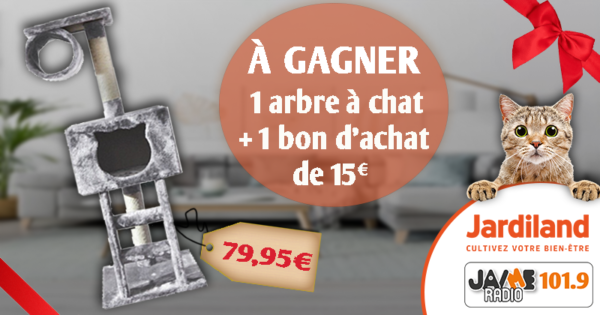 Cette Semaine Gagnez Votre Arbre A Chat Et 15 En Bon D Achat Chez Jardiland A Lanester Jaimeradio Cette Semaine Gagnez Votre Arbre A Chat Et 15 En Bon D Achat Chez Jardiland A Lanester Jaimeradio