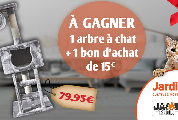 Arbre A Chat Archives Jaimeradio