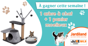 jeu_jardiland_arbre_chat_panier