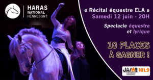 jeu_recital_equestre_ela