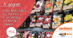jardiland_panier_bulbes_2021