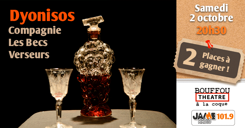 jeu_coque_dyonisos