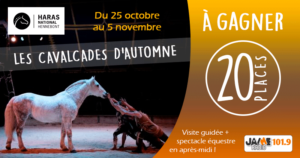 jeu_haras_automne_2021