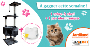 jeu_jardiland_arbre_chat_jeu_electronique