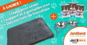 jeu_jardiland_tapis_chien_et_support_gamelles