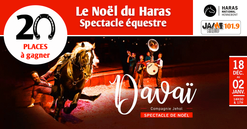 jeu_haras_noel_2021