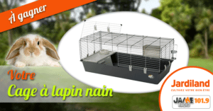 jeu_jardiland_cage_lapin_nain_2021