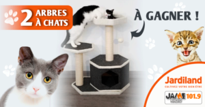 jardiland_arbres_a_chats_2022