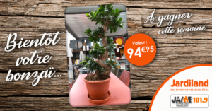 jardiland_bonzai_2022