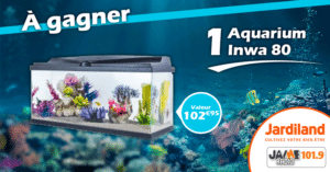 jeu_jardiland_aquarium_inwa_80