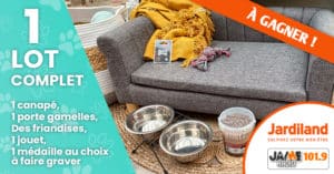 jeu_jardiland_lot_chien