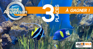 jeu_grand_aquarium_saint_malo